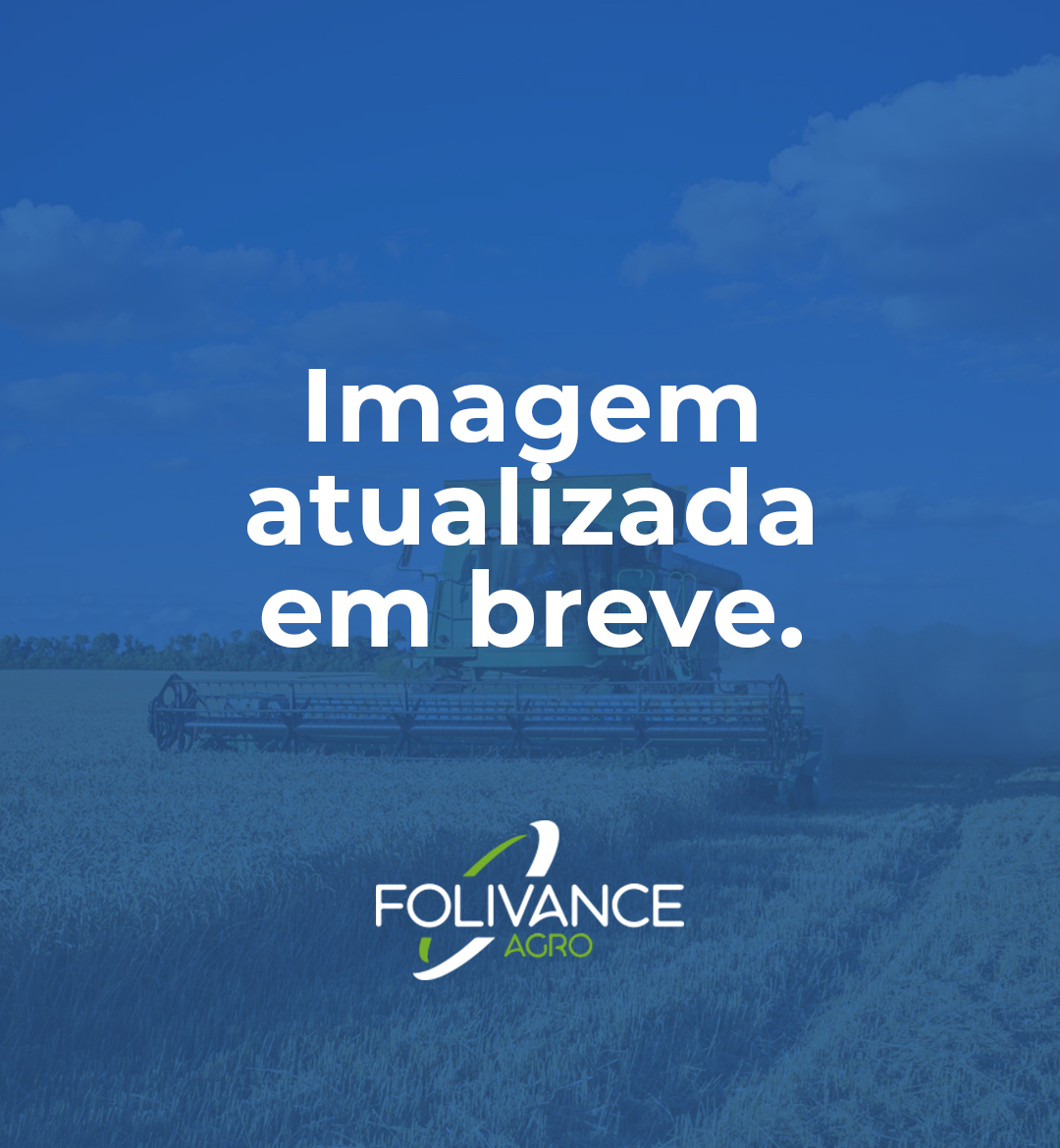 Foli Top